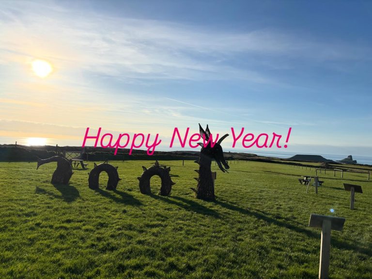 Instagram post from gowerbarhire. This post is in position 3.